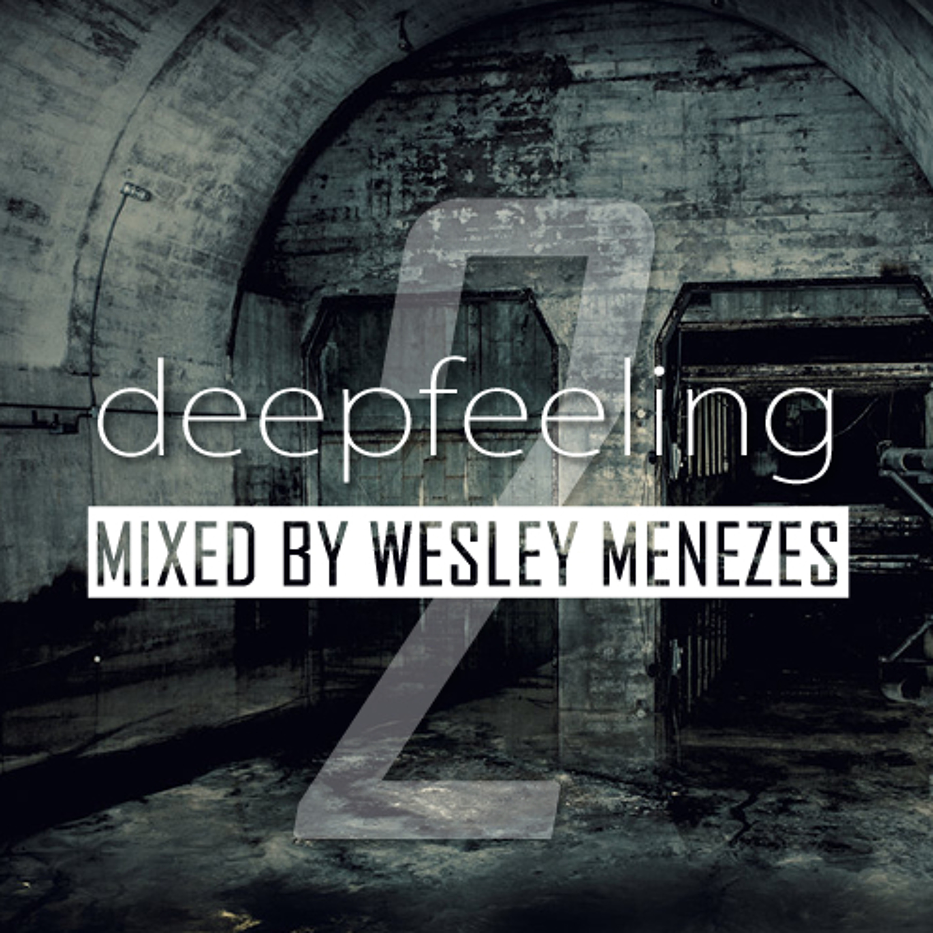 Wesley Menezes