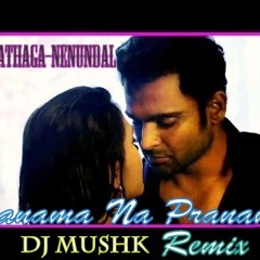 Pranama Na Pranama ( Dj MUSHK REMIX )