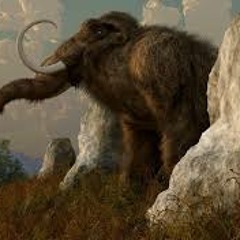 Dimitri Vegas & Like Mike Ft MOGUAI - BodyTalk (Mammoth)(BΛssed-Dz Remix)