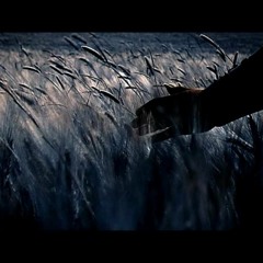 Elysium(matt b- im the teacher instrumental 11/11/13)