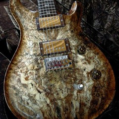 Canon In D Fusion Shred