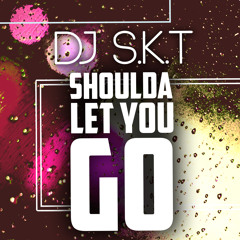 DJ S.K.T - Shoulda Let You Go
