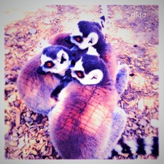 MadaboutM (XL - Edit)