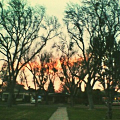 I'd Close My Eyes and Make A Wish but I'm Scared and We Don't Even Have Cake