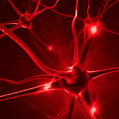 Synapses - Allet Is Grün