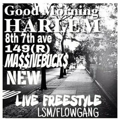 NEW MASSIVE BUCKS FREESTYLE(R)
