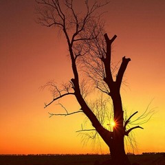 امیت ازال ستکگیں باگانی بہاریں ۔