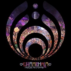 Bassnectapalooza