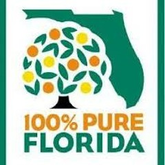 Top Of The World (prod. Monsta Mynd)