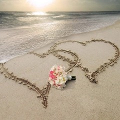 نبضات قلــ ♥ ــب