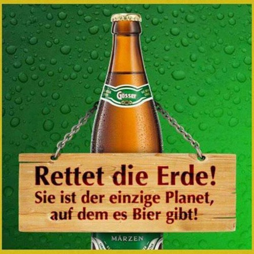 Rynerrr-hornoxe
