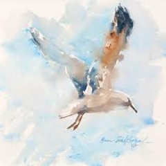 Seagull