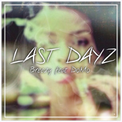 Breezy - "Last Dayz" (Feat Domo)