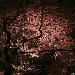 夜桜(2012 mix)