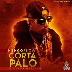 thecapo