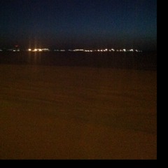 Vincent by Don McLean