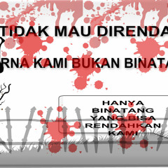 Boretsu Iwan - Fals - Ethopia