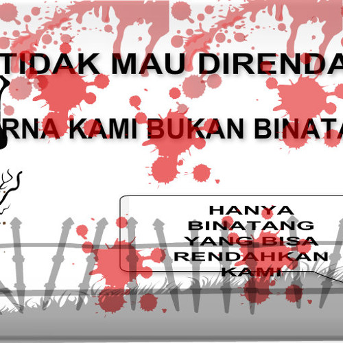 Boretsu Iwan - Fals - Ethopia