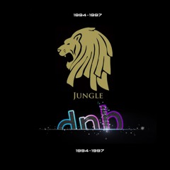 1994 - 1997 Old Skool Jungle DnB Mix (Mickey B)