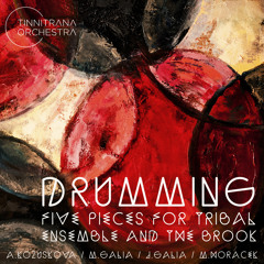 Drumming - Five Pieces For Tribal Ensemble And The Brook - Album Preview