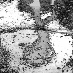 I'M A RAIN KIND OF GUY