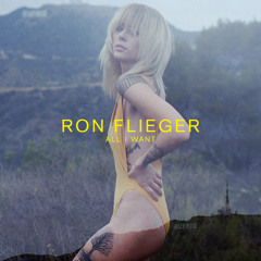 Ron Flieger - All I Want