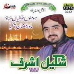 Aks-E-Roo-E-Mustafa Se
