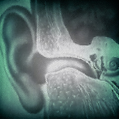 Sensation of Hearing (Version 1)