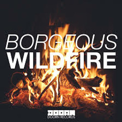 Borgeous - Wildfires 140bpm Beat Remix