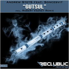 REC011. Andrew StetS feat. Soncesvit - Gutsul (PREVIEW)
