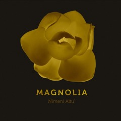 Nimeni Altu' - A patra dimensiune