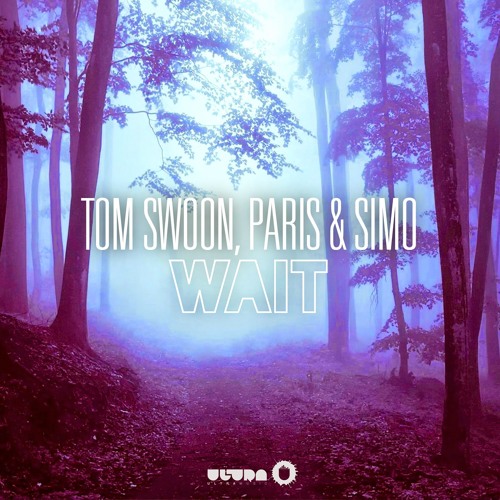 Tom Swoon & Paris & Simo - Wait