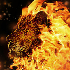 Message From The Lion(Demo)