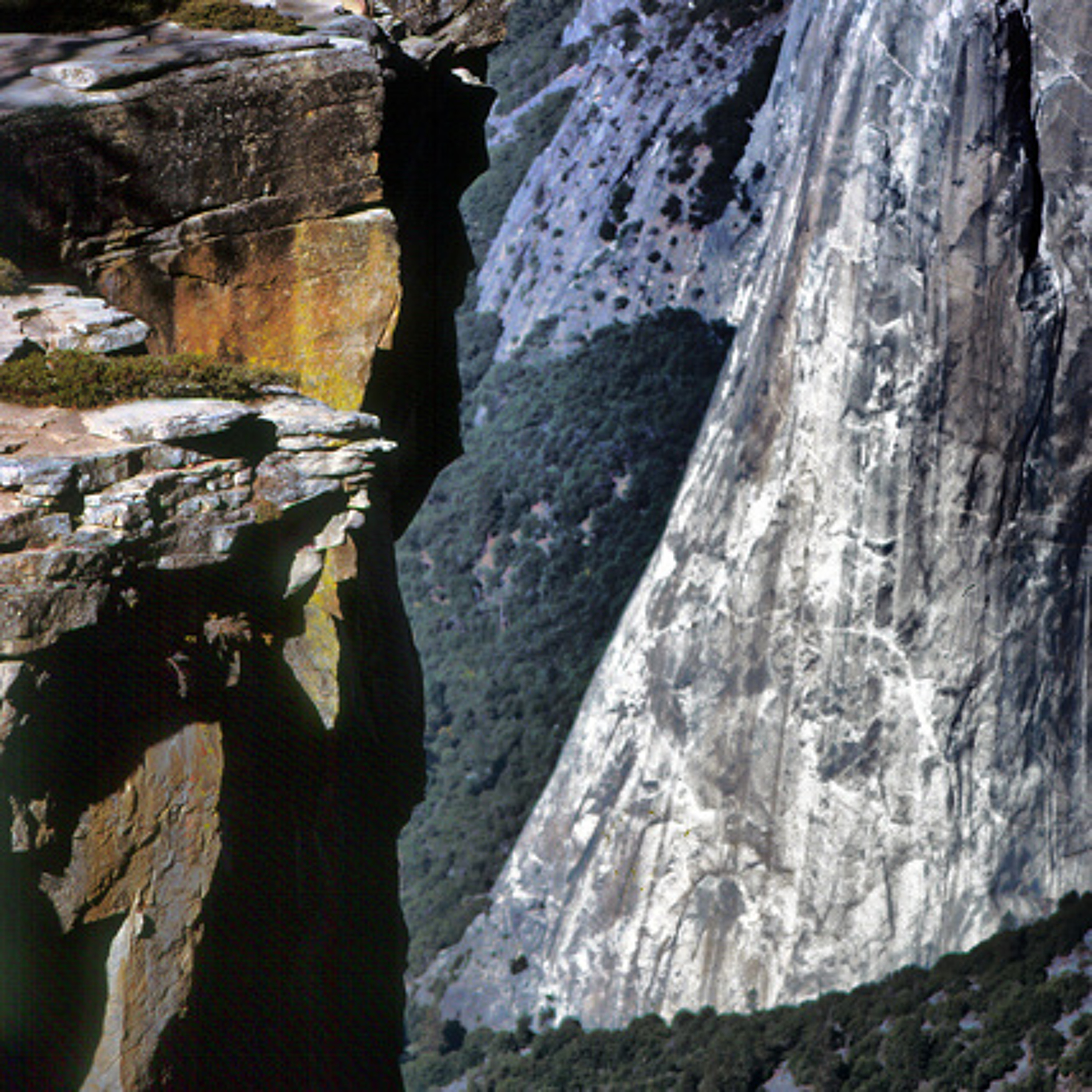 Yosemite Dan episode artwork