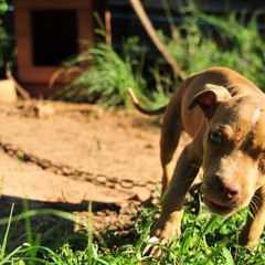 The Streets Watchin Me.R