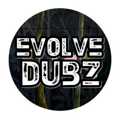 Evolve - Are You Mad  (CLIP)