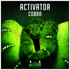Activator - Cobra