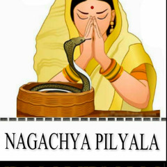 Nagachya Pilyala - Dj Vaibhav  From Mumbai