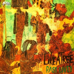 LikeATree - An Ocean Refuses No River (Past Lives LP - FM010)