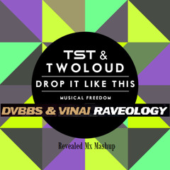 TST & twoloud vs. DVBBS & VINAI - Drop It Like Raveology (JEAL Mashup)