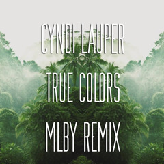 Cyndi Lauper/Glee - True Colors (Mlby remix)