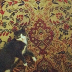 I Want You Around-- The Ramones