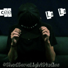 Shed Some Light Studios