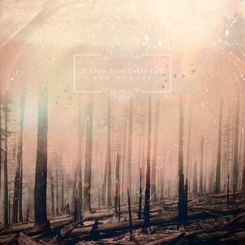 If These Trees Could Talk - They Speak With Knives