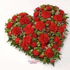 ايمان البحر درويش - حلم التمنى