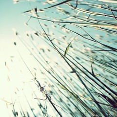 ALL DUST(vineetabraham) - 21:09:14 1.36 Pm