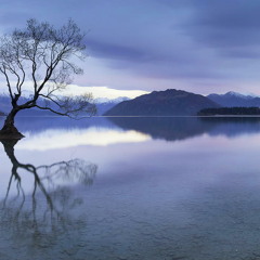 Lone