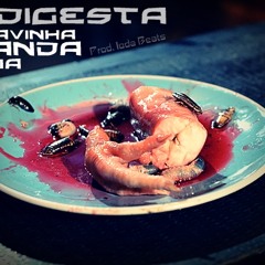 Indigesta - Flavinha Manda Rima (Prod. Ioda Beats) Lançamento 2014