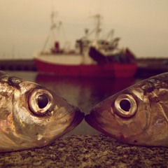 Afrosound-El Pesebre vs. Tigerskin-Darkcold - Bo Avenue Blends