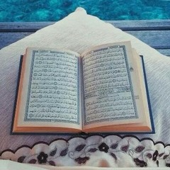 سورة ص - ناصر القطامي